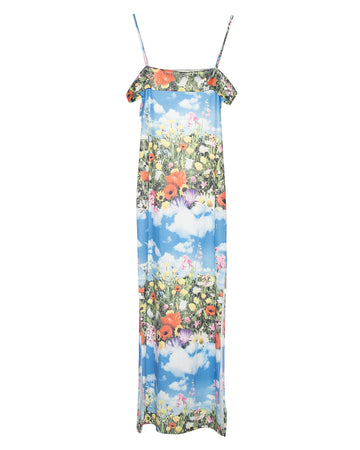 Vintage Garden Sky Dress