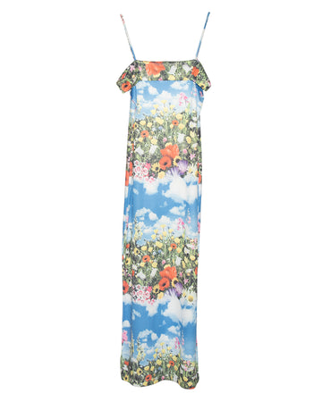 Vintage Garden Sky Dress