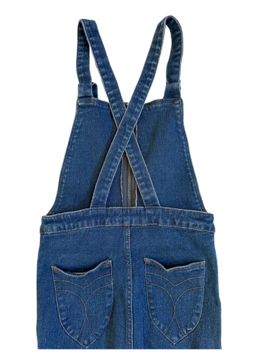 Rolla's High Rise Flare Denim Overalls