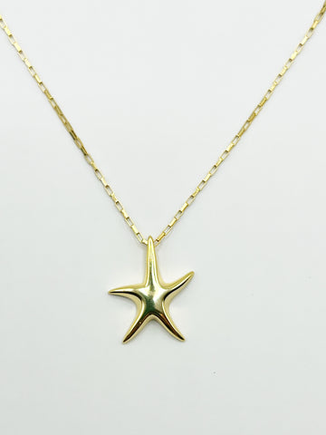 The Flashing Lights Star Necklace