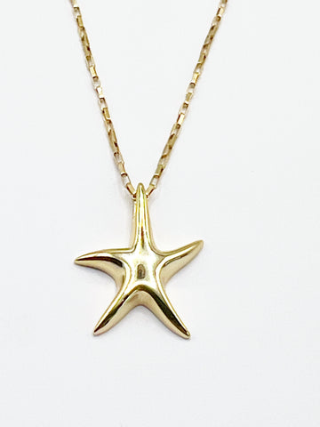 The Flashing Lights Star Necklace