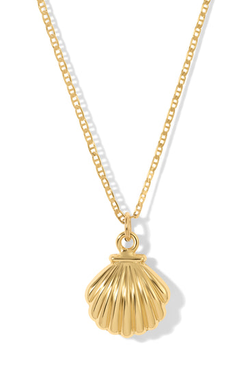 The Mini Shell Necklace